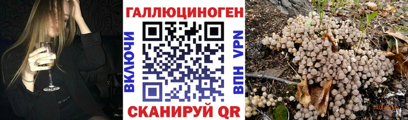 Псилоцибиновые грибы Cubensis  Купить  Бокситогорск 
